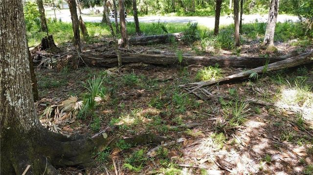 5303 S PARKLAND TERRACE, Homosassa, FL 34448