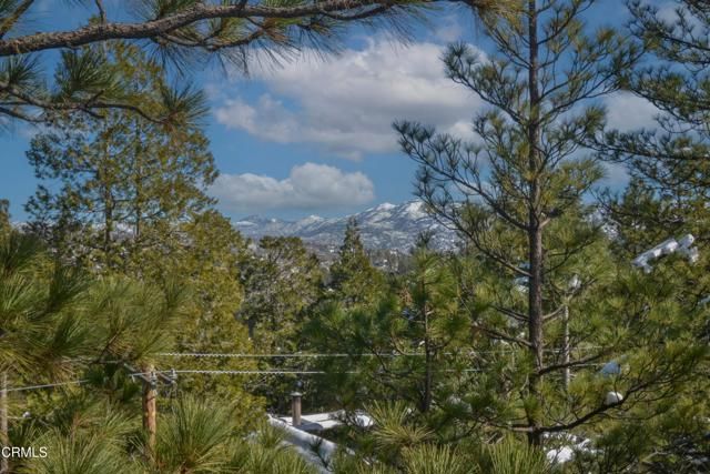 864 Nadelhorn Drive, Lake Arrowhead, CA 92352