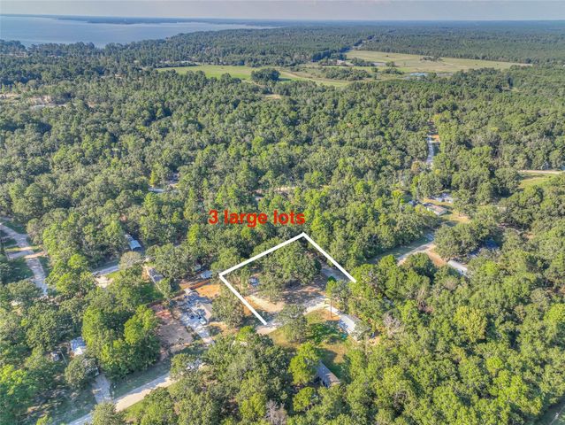 767 Windwood Drive, Livingston, TX 77351