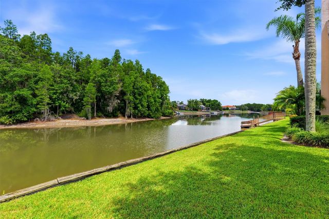 17912 SAINT CROIX ISLE DRIVE, Tampa, FL 33647