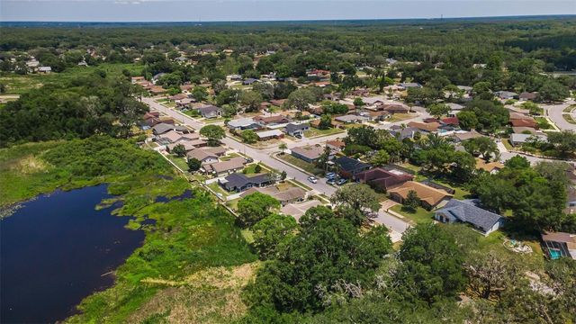 12603 PECAN TREE DRIVE, Hudson, FL 34669