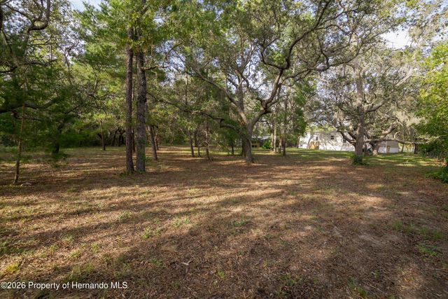 3325 Keye Drive, Weeki Wachee, FL 34606