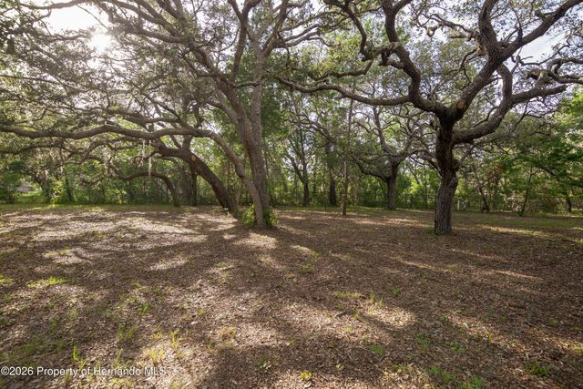 3325 Keye Drive, Weeki Wachee, FL 34606