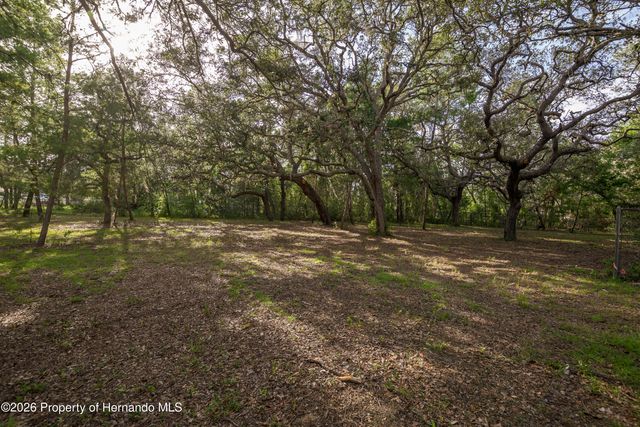 3325 Keye Drive, Weeki Wachee, FL 34606