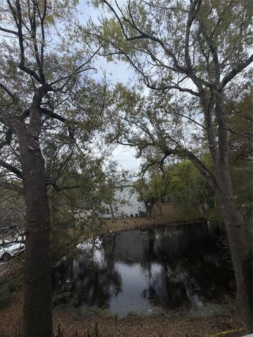 7143 E BANK DRIVE 7143, Tampa, FL 33617