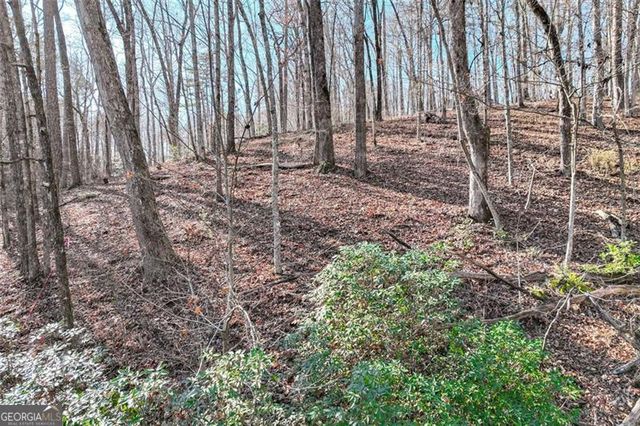 9384 SKITTS MOUNTAIN Drive, Lula, GA 30554