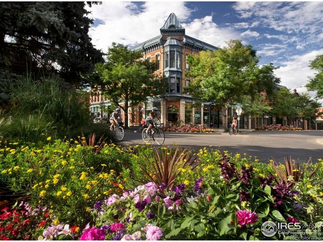 302 N Meldrum Street 313, Fort Collins, CO 80521