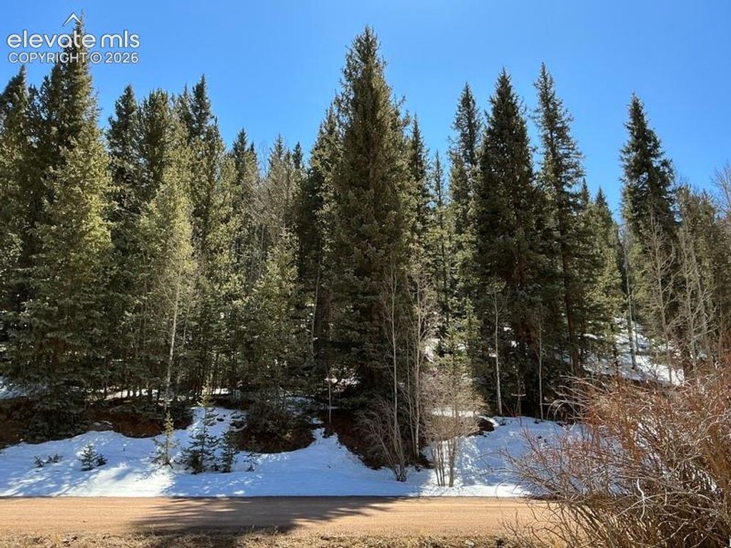 2206 Anges Drive, Cripple Creek, CO 80813 — exterior