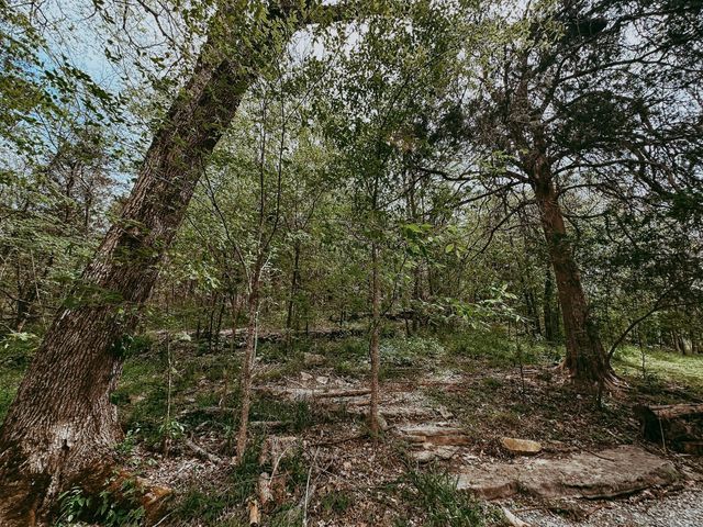 8448 Murfreesboro Hwy, Manchester, TN 37355
