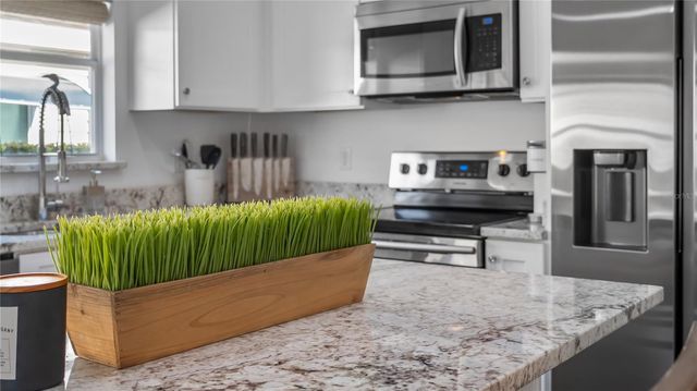 4517 EAGLEWOOD DRIVE, Leesburg, FL 34748