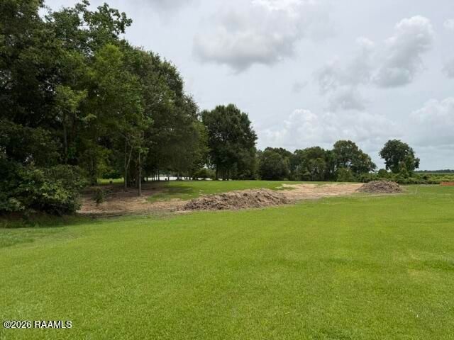 Louisiana 82, Abbeville, LA 70510