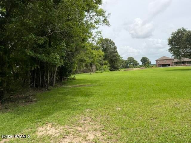 Louisiana 82, Abbeville, LA 70510