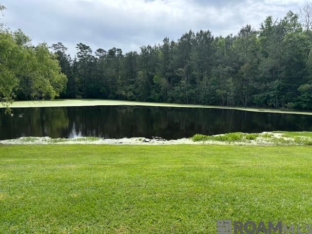 12308 Creekside Ave, Walker, LA 70785