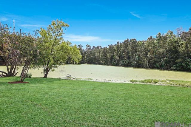 12308 Creekside Ave, Walker, LA 70785