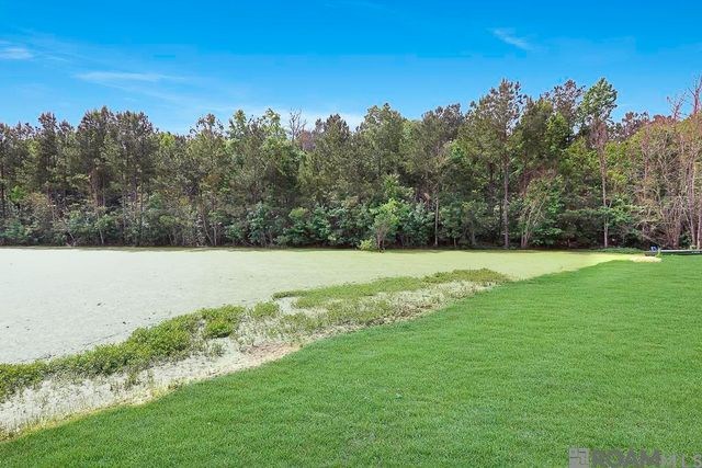 12308 Creekside Ave, Walker, LA 70785