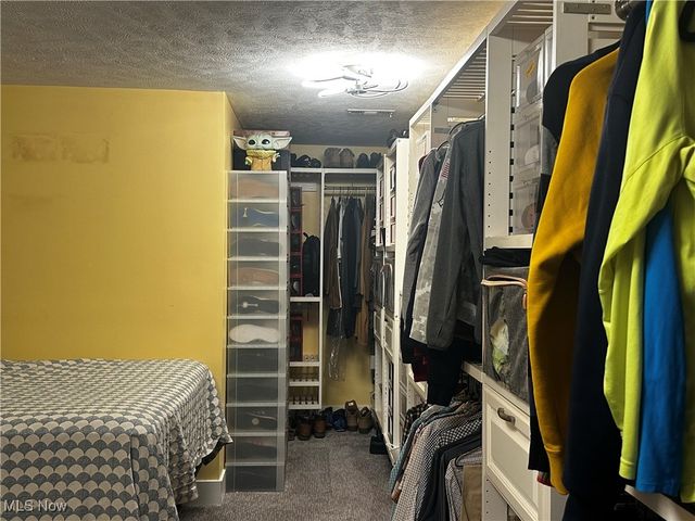 441 Community Lane, Painesville, OH 44077