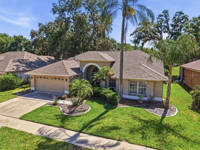 8435 BASUTO DR, Trinity, FL 34655