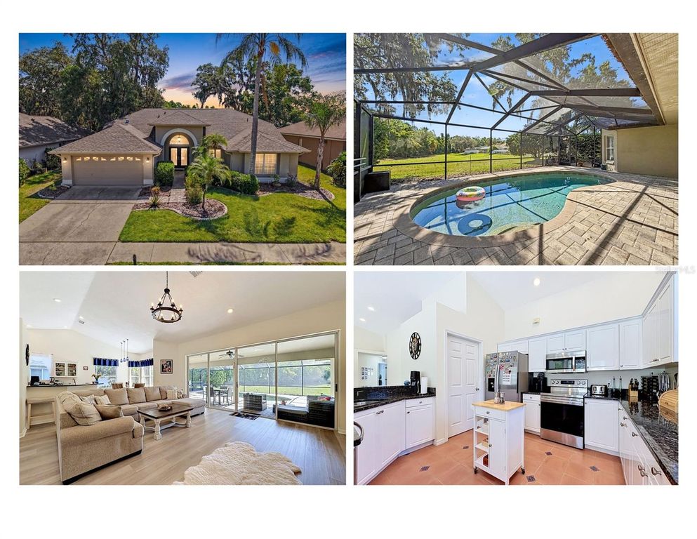 8435 BASUTO DR, Trinity, FL 34655