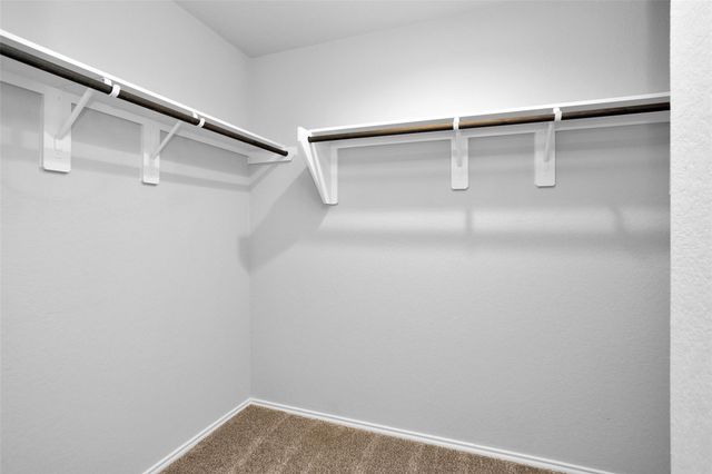 20807 Olive Leaf Street, New Caney, TX 77357