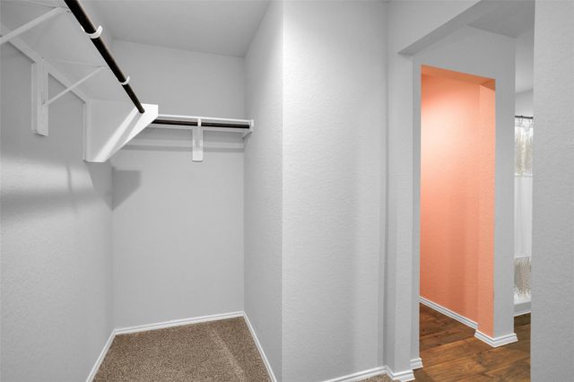 20807 Olive Leaf Street, New Caney, TX 77357