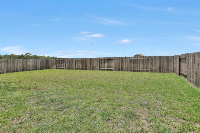 20807 Olive Leaf Street, New Caney, TX 77357