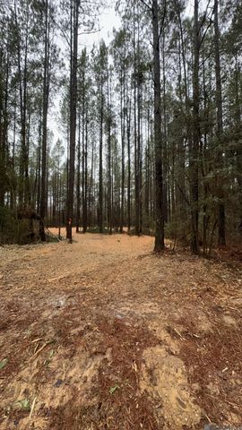 Tract 2-A-1-C Upper C C Rd, Clinton, LA 70722