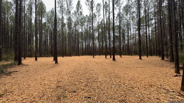 Tract 2-A-1-C Upper C C Rd, Clinton, LA 70722