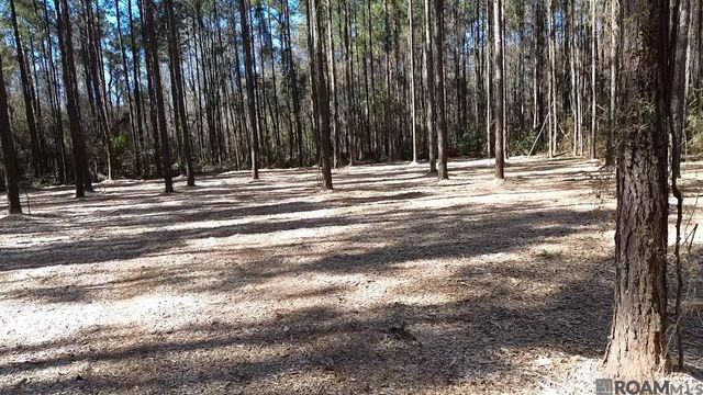 Tract 2-A-1-C Upper C C Rd, Clinton, LA 70722