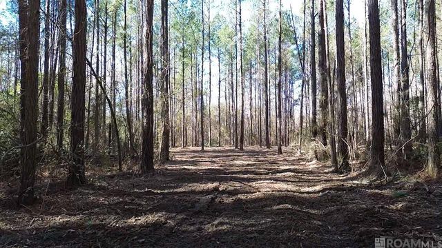 Tract 2-A-1-C Upper C C Rd, Clinton, LA 70722