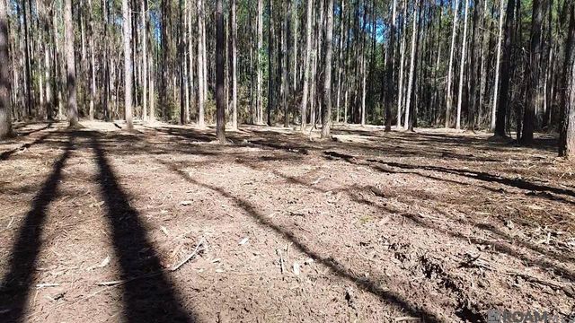 Tract 2-A-1-C Upper C C Rd, Clinton, LA 70722