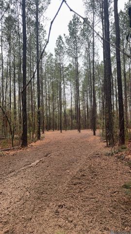 Tract 2-A-1-C Upper C C Rd, Clinton, LA 70722