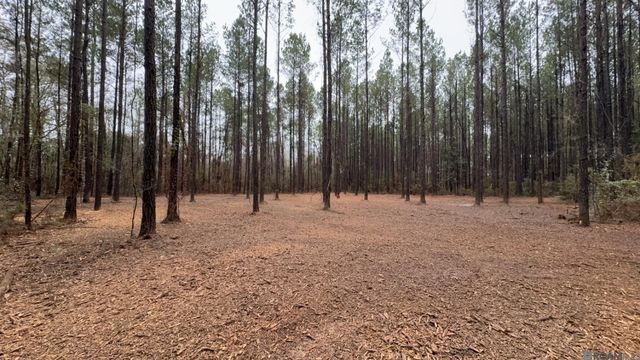 Tract 2-A-1-C Upper C C Rd, Clinton, LA 70722