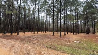 Tract 2-A-1-C Upper C C Rd, Clinton, LA 70722