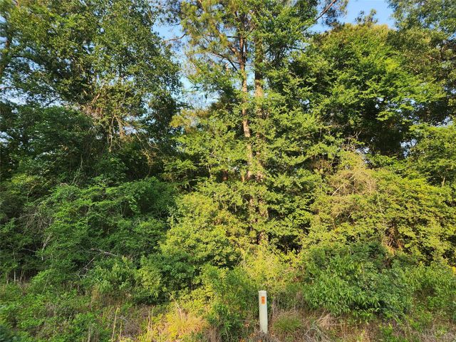 Lot 15 Weeping Willow Lane, Plantersville, TX 77363