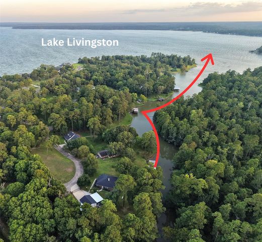 81 N Holly Glen Drive, Point Blank, TX 77364