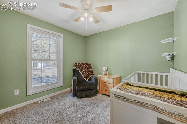 1005 W Browning Avenue, Woodland Park, CO 80863