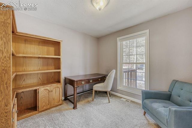 1005 W Browning Avenue, Woodland Park, CO 80863