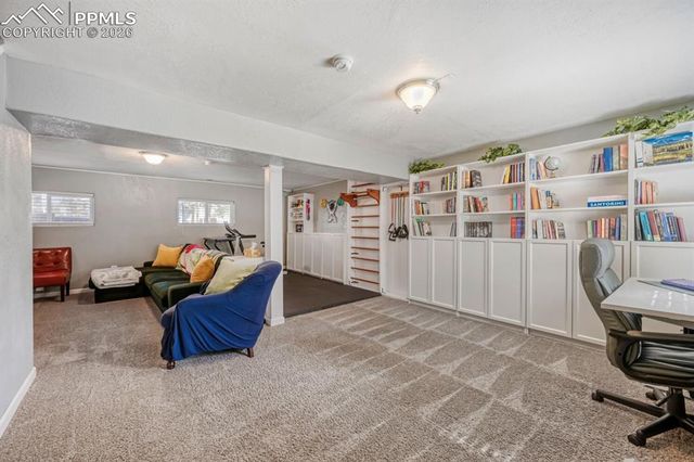 1005 W Browning Avenue, Woodland Park, CO 80863