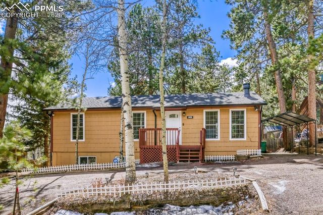 1005 W Browning Avenue, Woodland Park, CO 80863