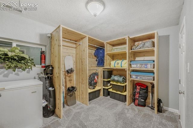 1005 W Browning Avenue, Woodland Park, CO 80863