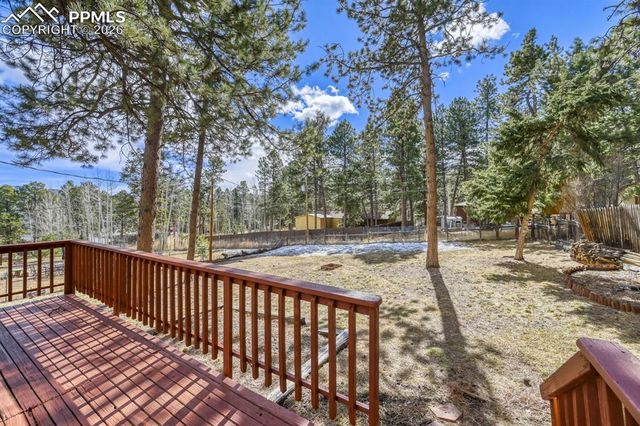 1005 W Browning Avenue, Woodland Park, CO 80863