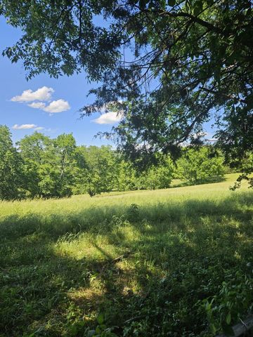 1375 Sherrilltown Rd, Watertown, TN 37184