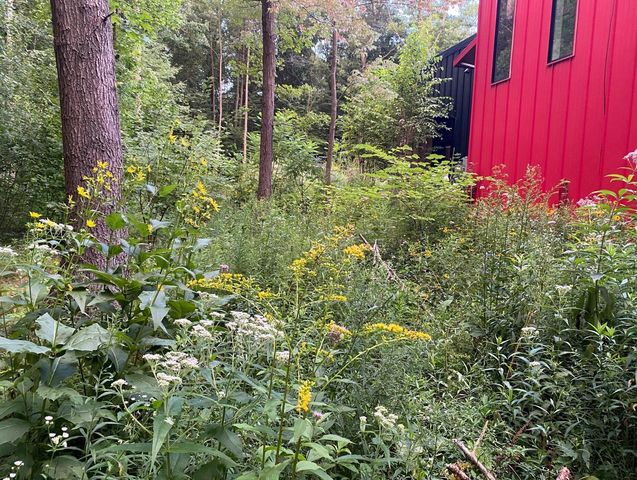 5479 Liland Trace, Fennville, MI 49408
