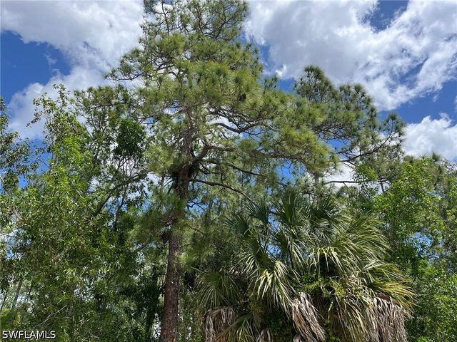 1920 Blue Sage DR, Naples, FL 34117