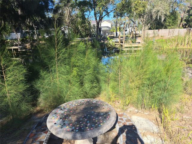 14547 SASSANDRA DRIVE, Odessa, FL 33556