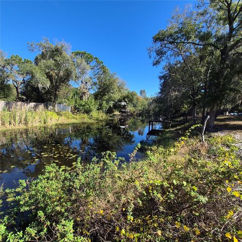 14547 SASSANDRA DRIVE, Odessa, FL 33556