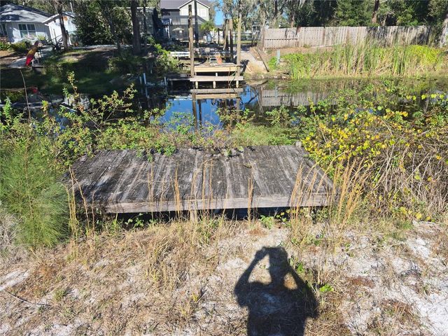 14547 SASSANDRA DRIVE, Odessa, FL 33556