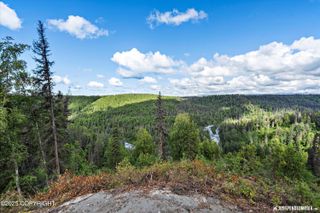 12431 W Snowberry Road, Willow, AK 99688