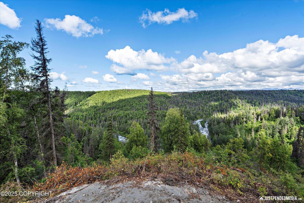 12431 W Snowberry Road, Willow, AK 99688