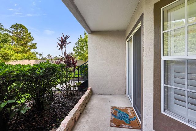 18108 PEREGRINES PERCH PLACE 7110, Lutz, FL 33558